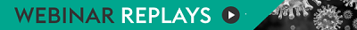 Key Federal Corporate Tax Provisions of the CARES Act and the States Responses